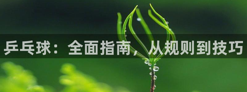 welcometo欢迎光临必发集团|乒乓球：全面指南，从规则