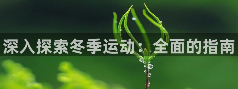 必发bf88|深入探索冬季运动：全面的指南