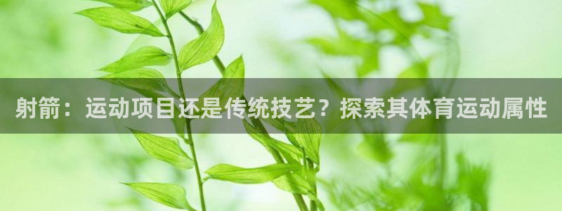 必发88官网|射箭：运动项目还是传统技艺？探索其体育运动属性