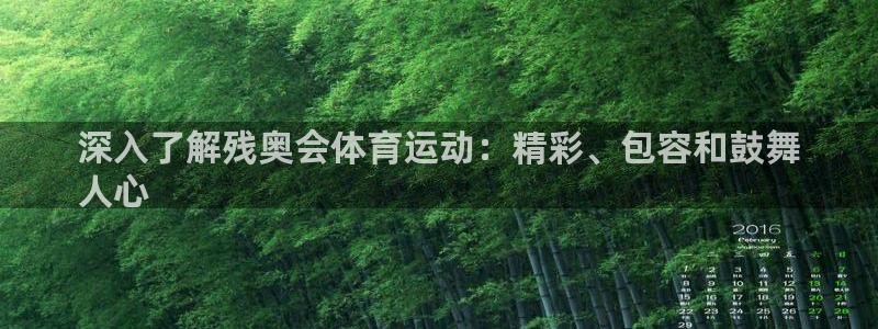 必发集团官网平台|深入了解残奥会体育运动：精彩、包容和鼓舞
