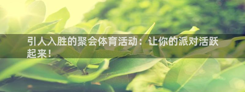 7790必发集团下载|引人入胜的聚会体育活动：让你的派对活跃