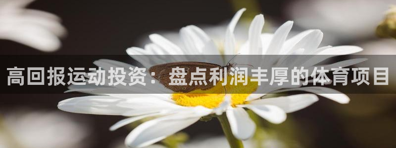 必发集团最新版本|高回报运动投资：盘点利润丰厚的体育项目