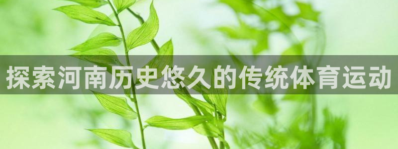 必发集团官网登录|探索河南历史悠久的传统体育运动